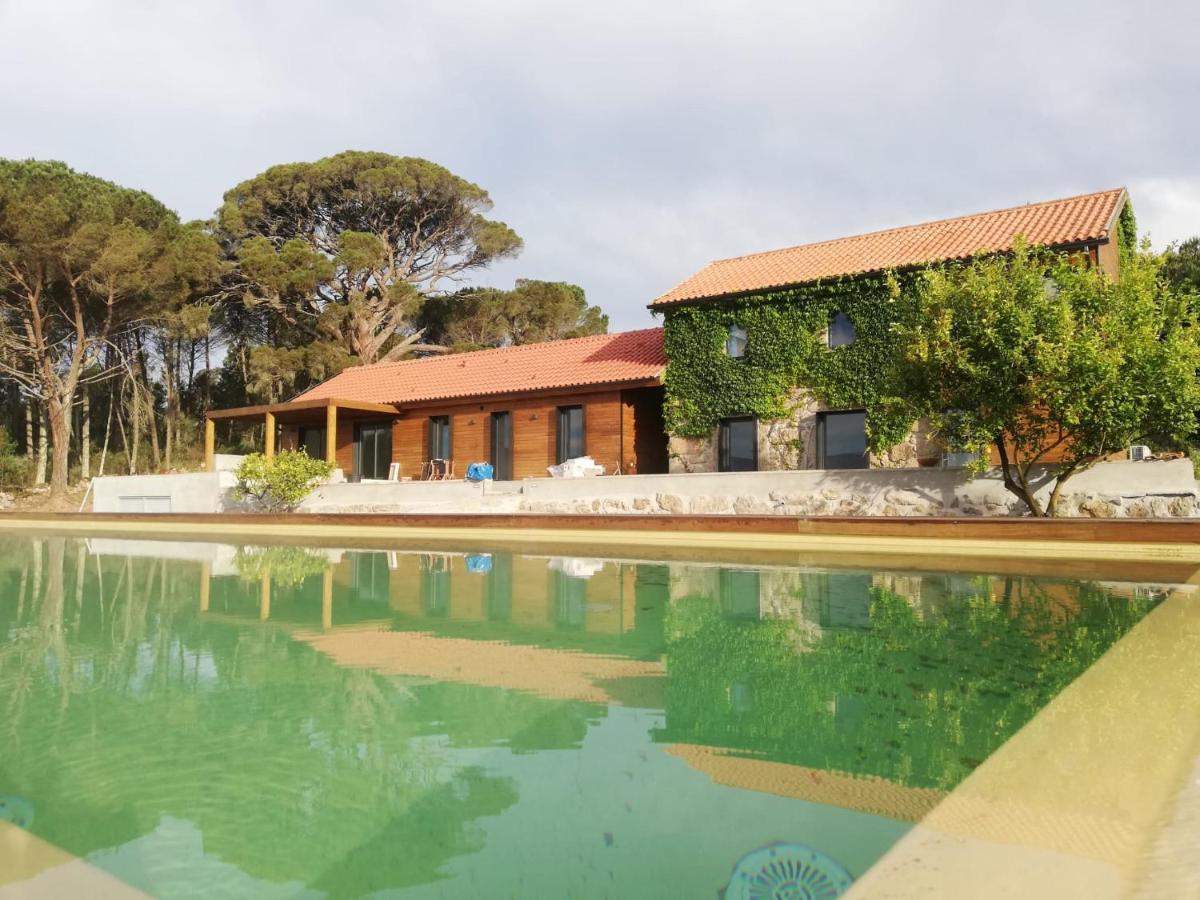 Casas Do Pinheiro Grande Villa Fornos de Algodres Exterior photo