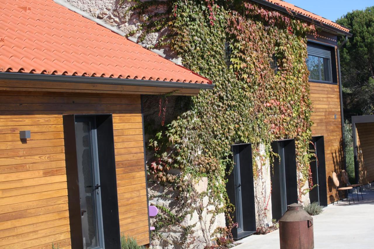 Casas Do Pinheiro Grande Villa Fornos de Algodres Exterior photo